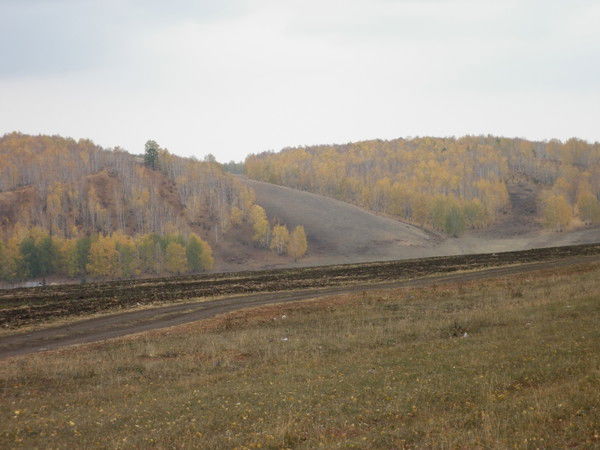 Сафия Галимова