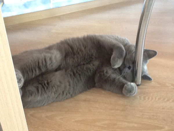 Паша Гузанов