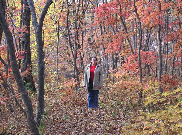 Светлана Карцева