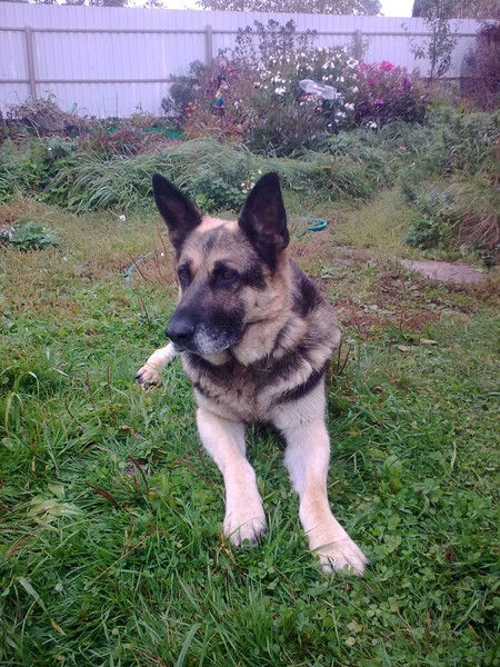 Михаил Верховников