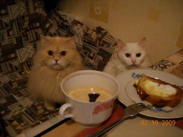 Владимир Белов