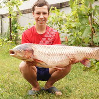 Артём Дзись