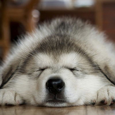 Руслан Билалов