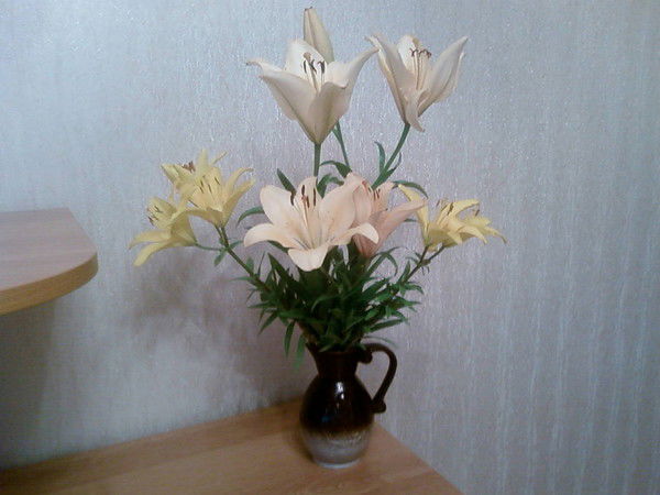 Анна Ширкевич