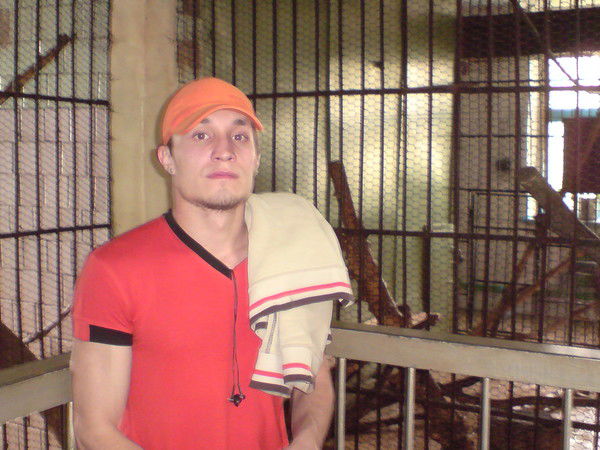 Денис Шишкин