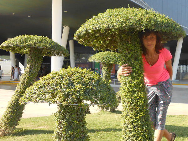 Наталья Наплекова