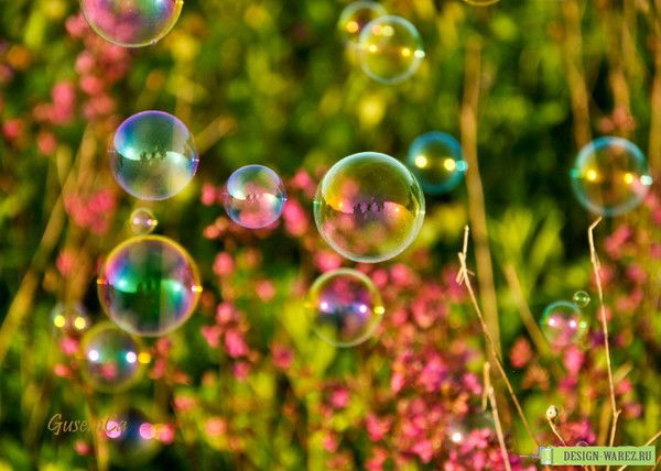 Кристина Беляева