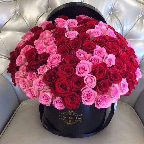 Наталия Ванидовская