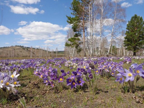Александра Котишова