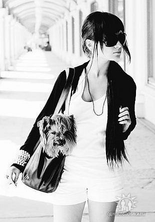 Ирина Дмитриева