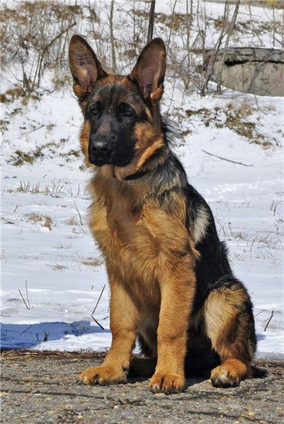 Алексей Пономаренко