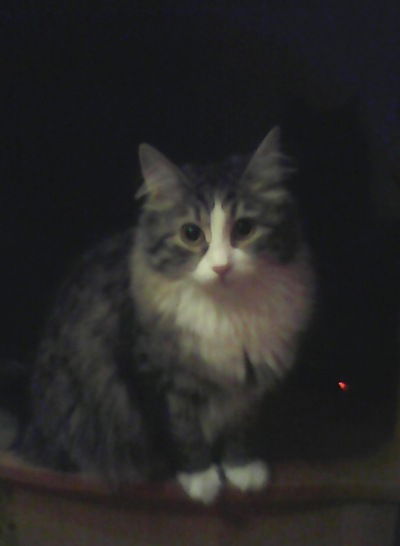 Ирина Иншакова