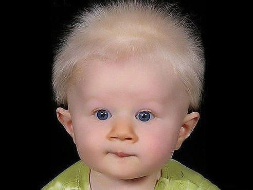 Андрей Егоров