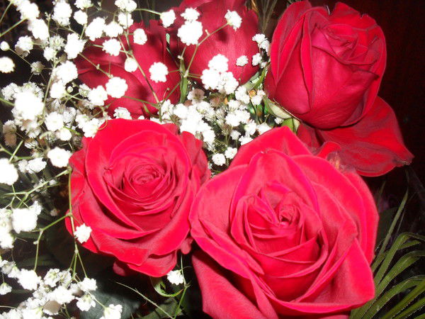 Марина Полякова