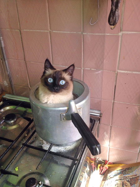 Андрей Архипов