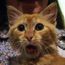 Никита Грицай