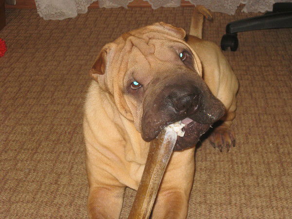 Андрей Глаголев