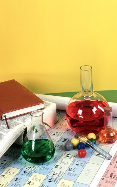 Елена Воронцова