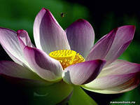 Виктория Ульяхина