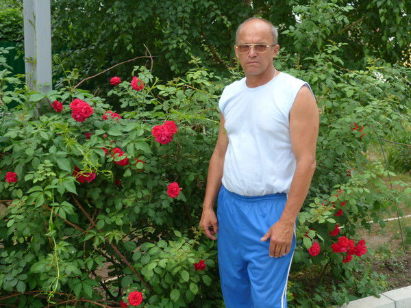 Алексей Дмитриев