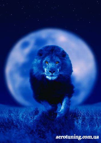 Мольдыр Калыкова