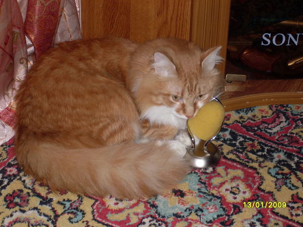 Ирина Ошлыкова