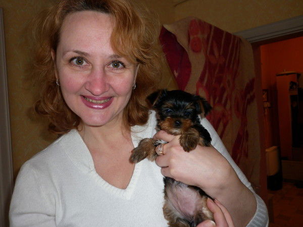 Елена Яворская