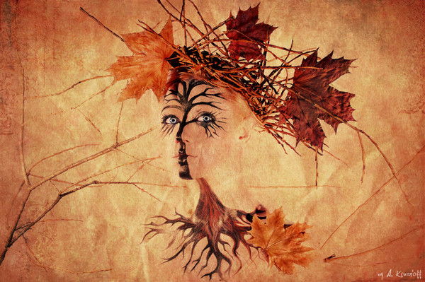 Елена Власова