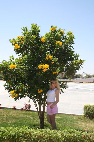 Юля Караваева