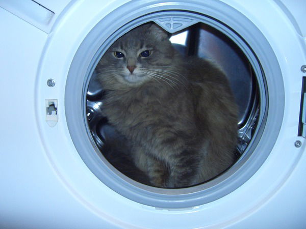 Оксана Быкова