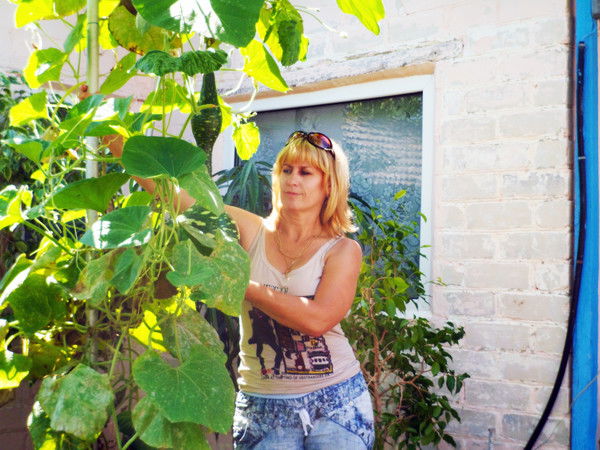 Елена Замуруева