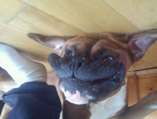 Михаил Кильмет