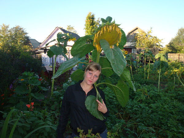 Людмила Винидюхина