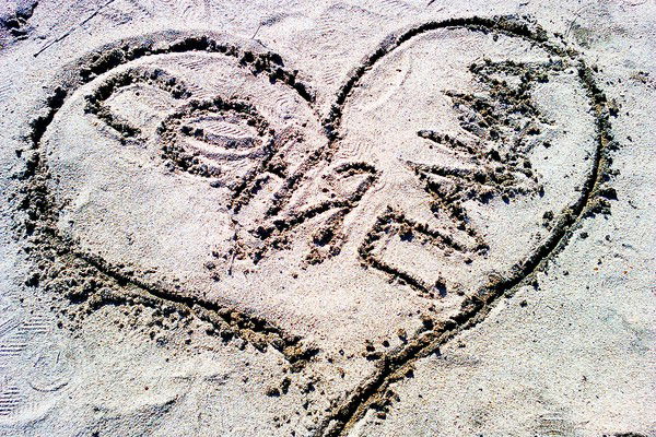 Дикая Белка