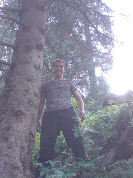 Петр Чертищев