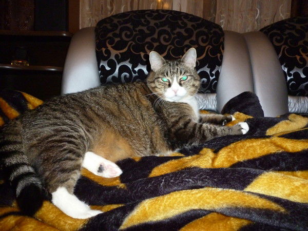 Светланка Копылова