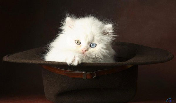 Татьяна Иванова