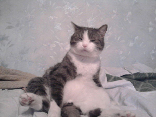 Кирилл Ярославцев