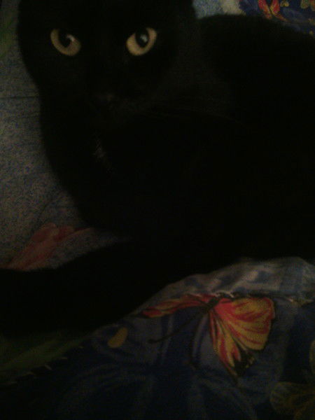 Мила (Клондайк) Аршавина