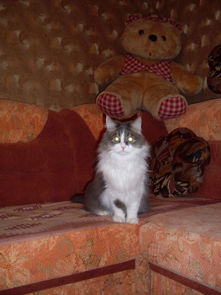 Татьяна Иванова