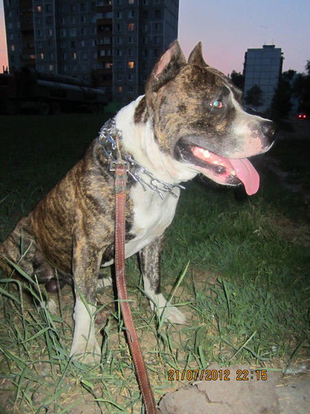 Алексей Соловьёв