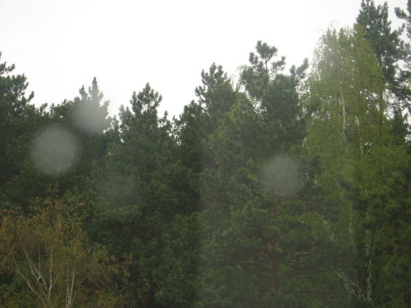 Павел Милешин