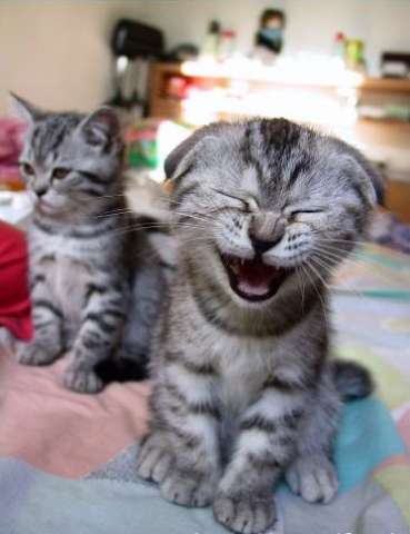 Татьяна Тохтамирова