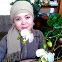 Stella Sultan