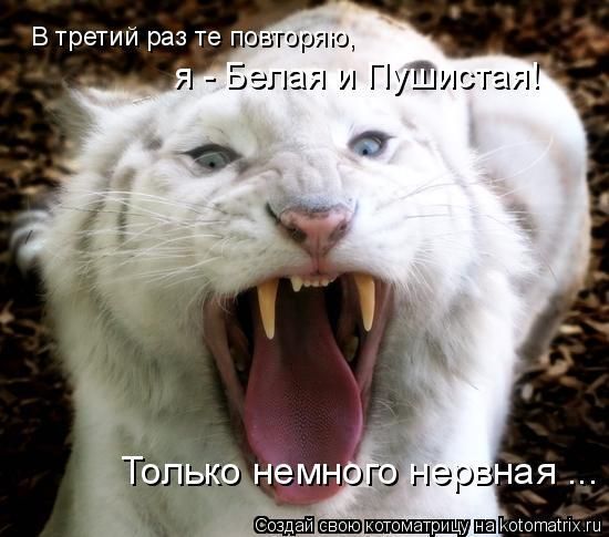 Ольга Бездудная