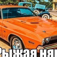 Максим Комаров