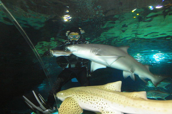 Арай Сулейменов