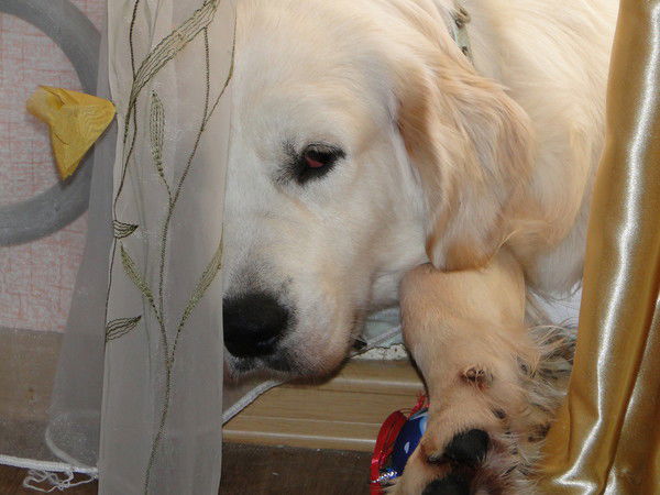 Юлия Кандидова