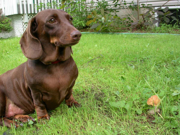 Лилия Елькина