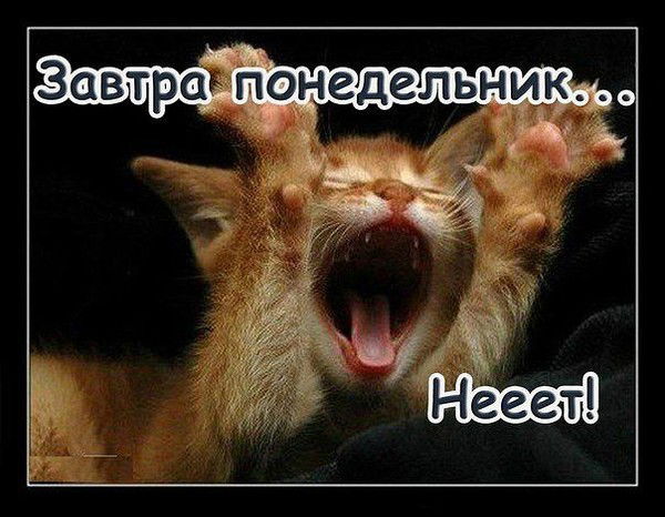 Марина Гречухина